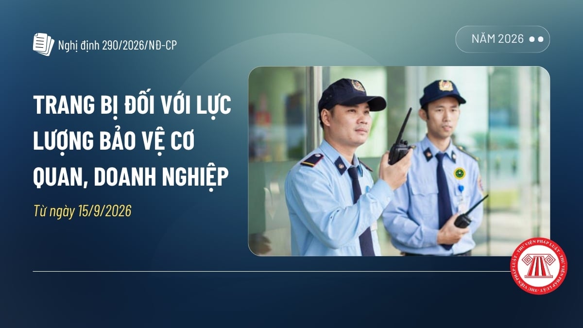 Pháp luật