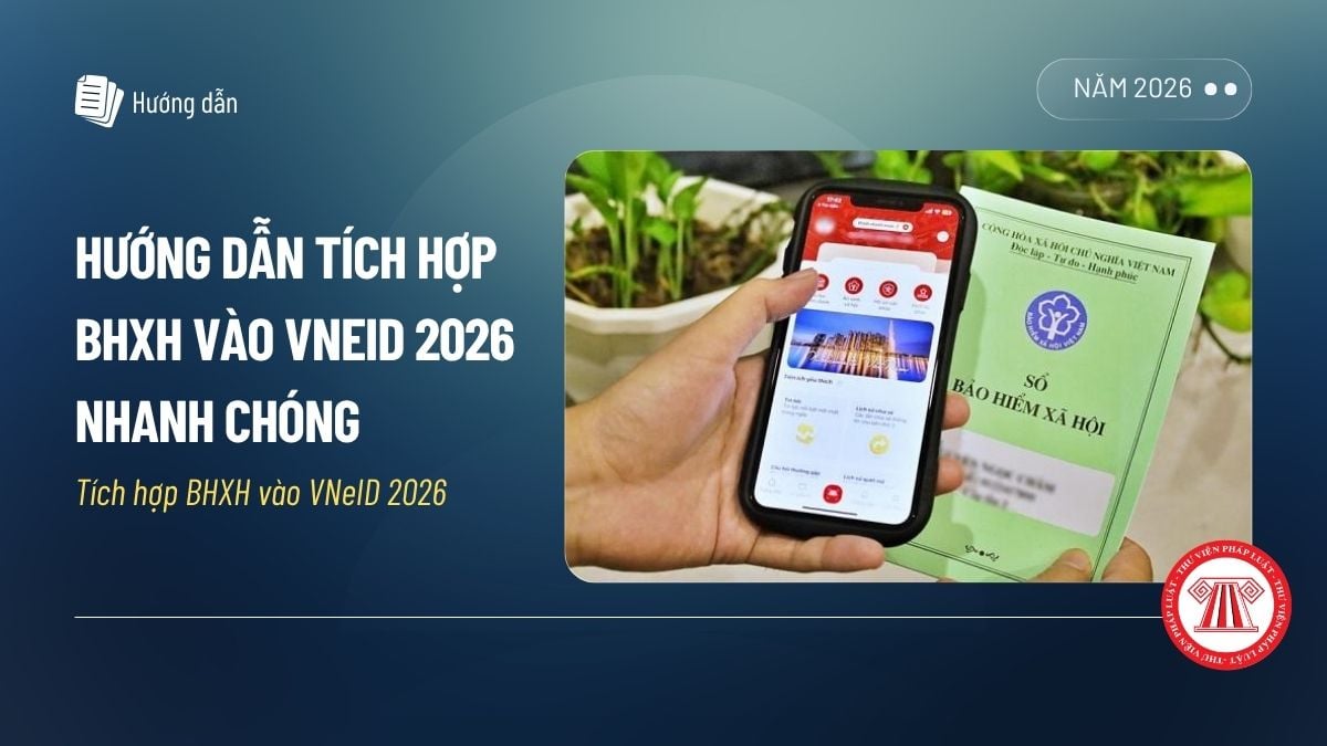 Pháp luật