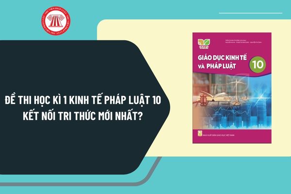 Pháp luật