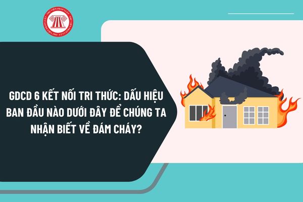 Pháp luật
