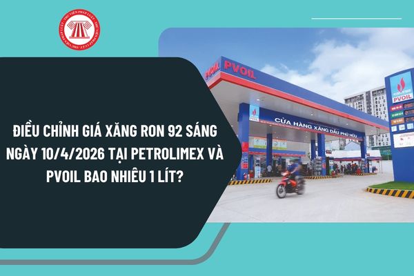 Pháp luật