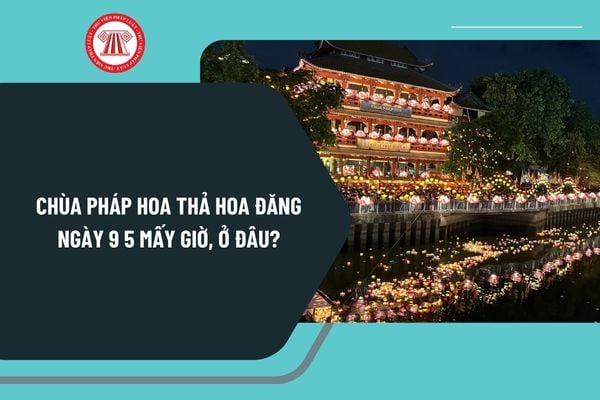 Pháp luật