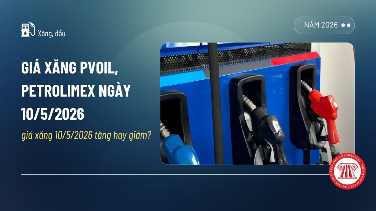 Pháp luật