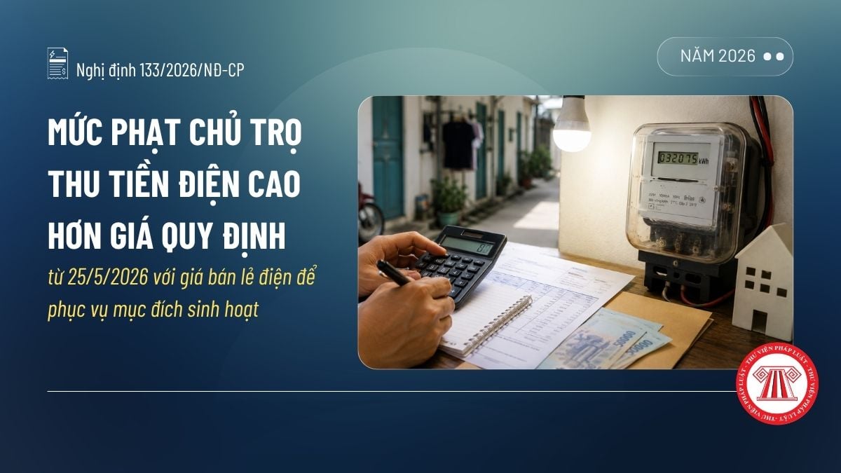 Pháp luật