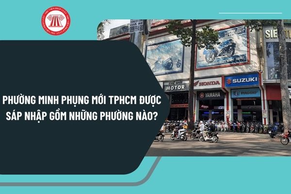 Pháp luật