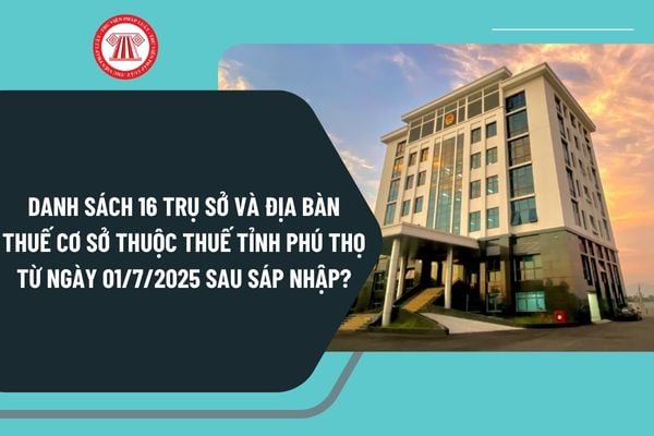 Pháp luật