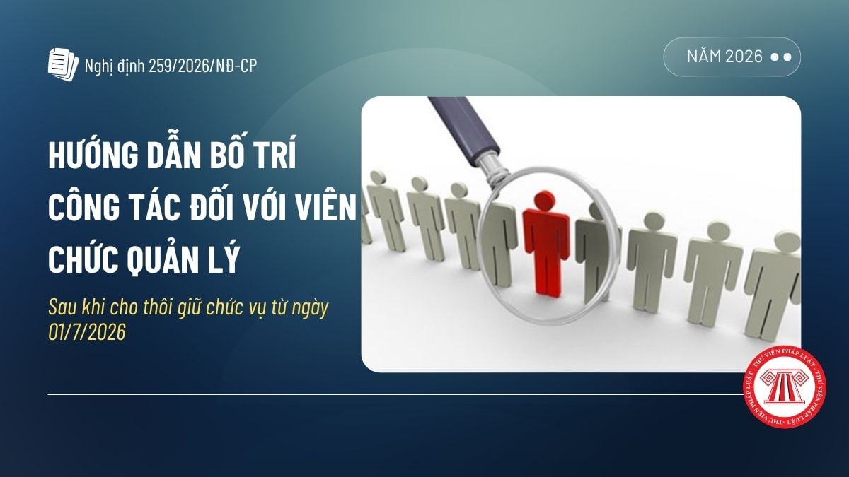Pháp luật