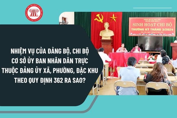 Pháp luật