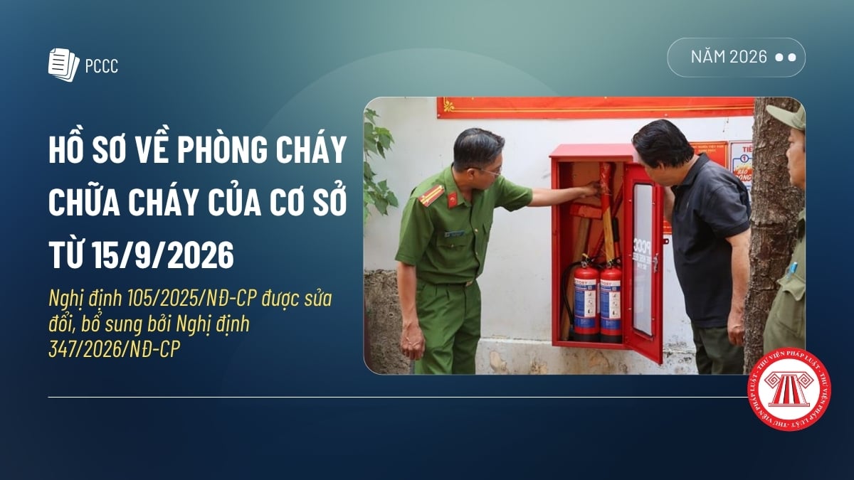 Pháp luật