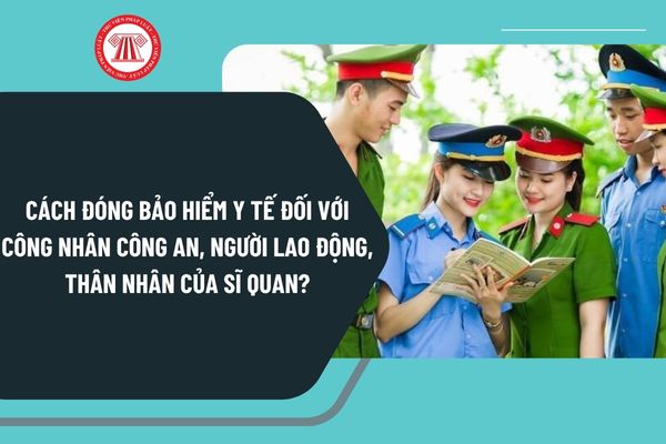Pháp luật