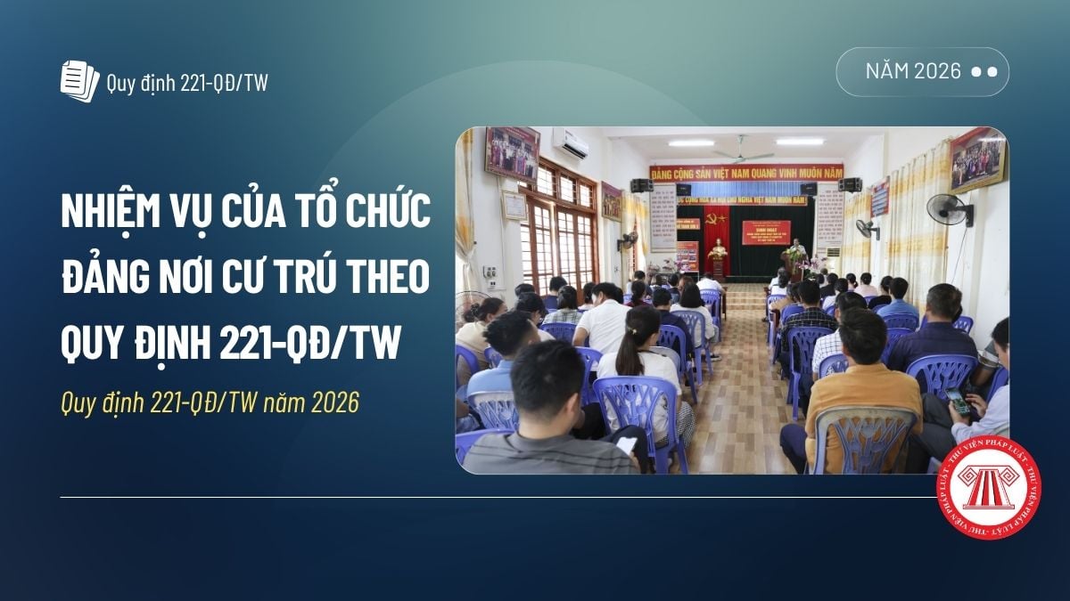 Pháp luật