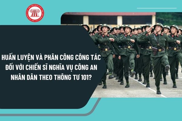 Pháp luật
