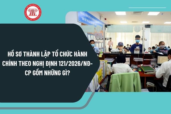 Pháp luật