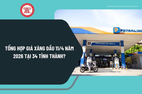 Pháp luật