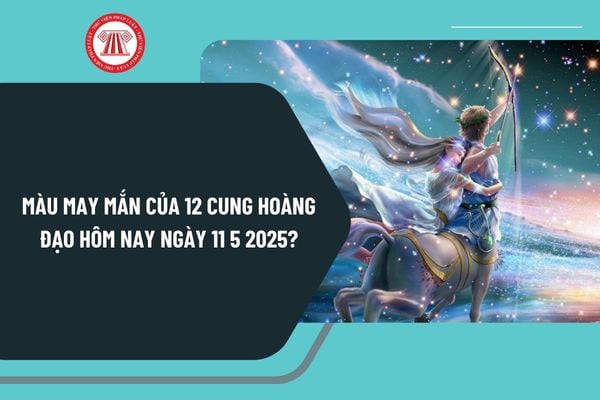Pháp luật