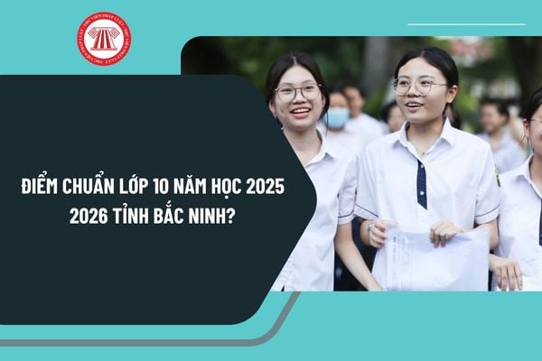 Pháp luật