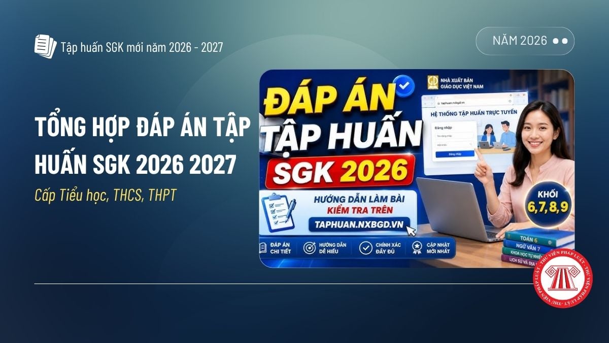 Pháp luật