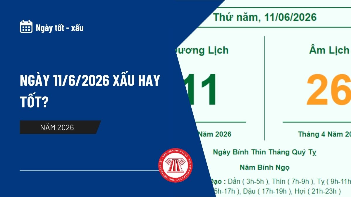Pháp luật