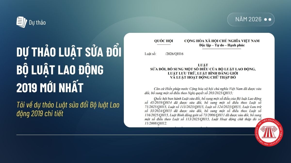 Pháp luật