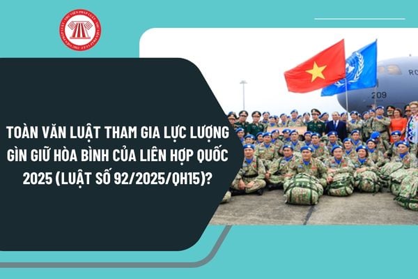 Pháp luật