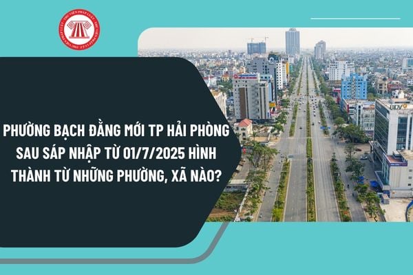 Pháp luật
