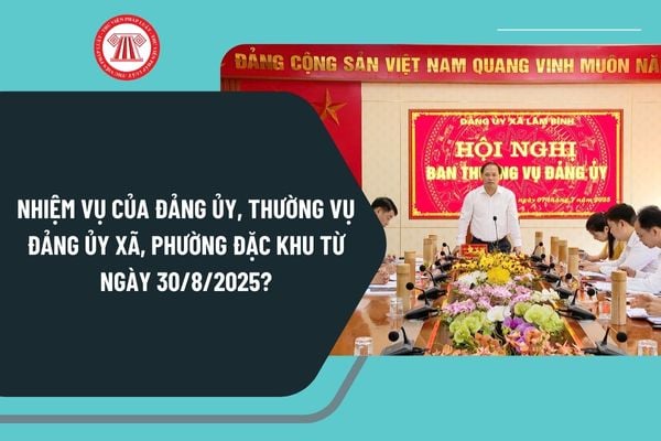 Pháp luật