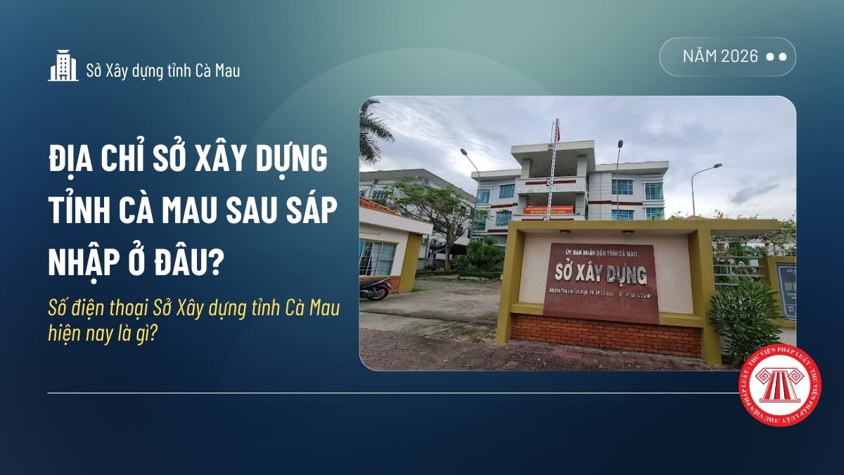 Pháp luật