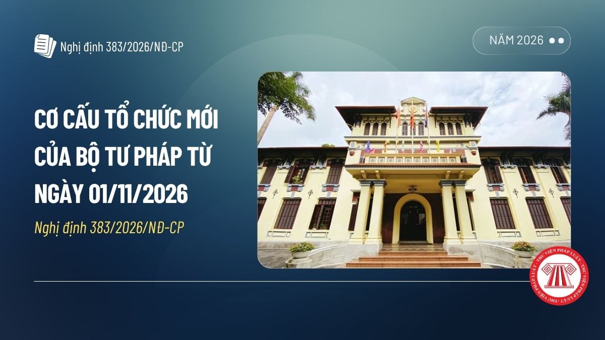 Pháp luật