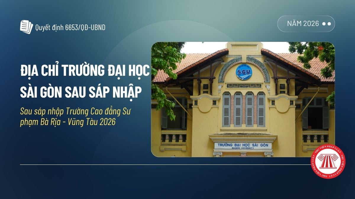 Pháp luật