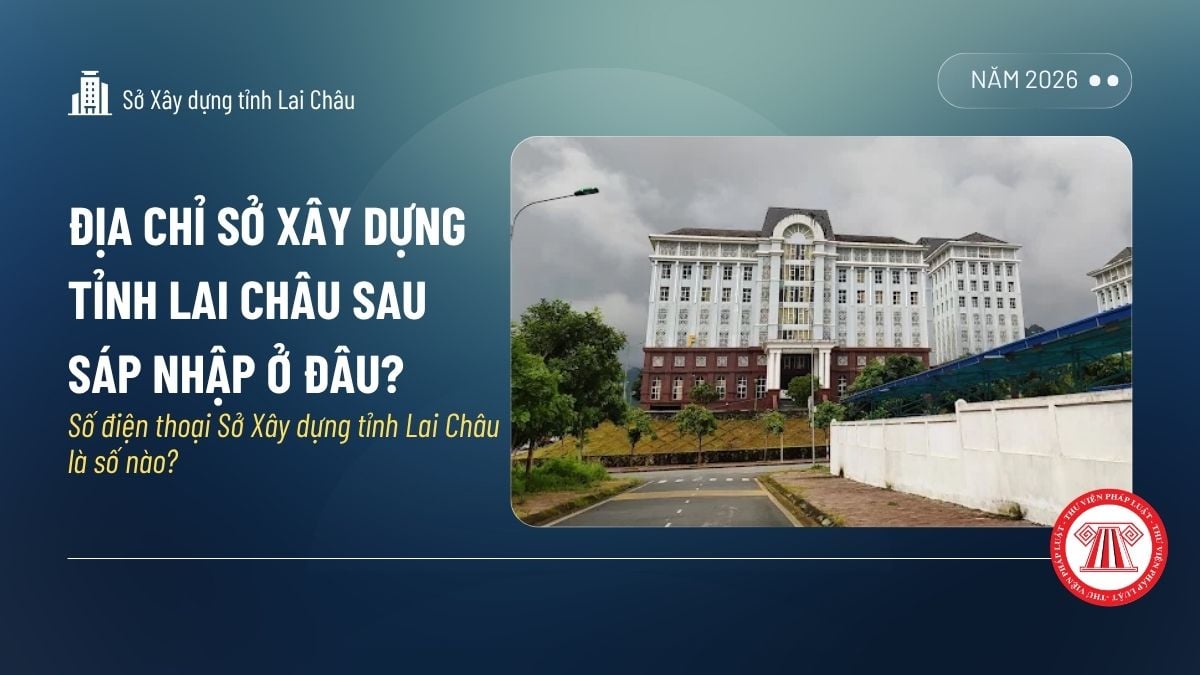 Pháp luật