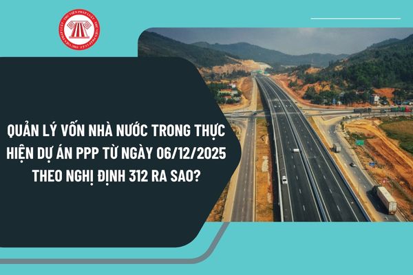 Pháp luật