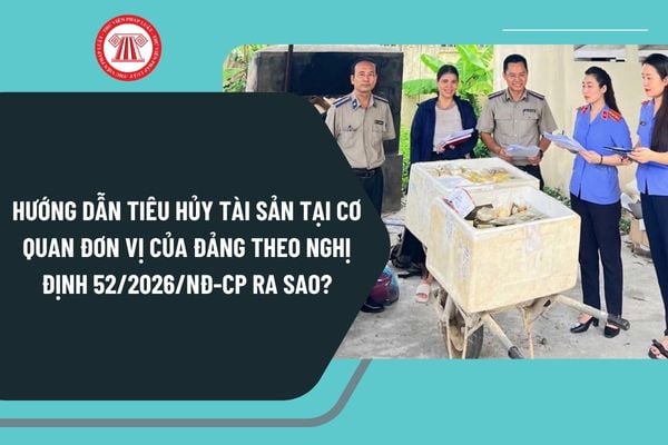 Pháp luật