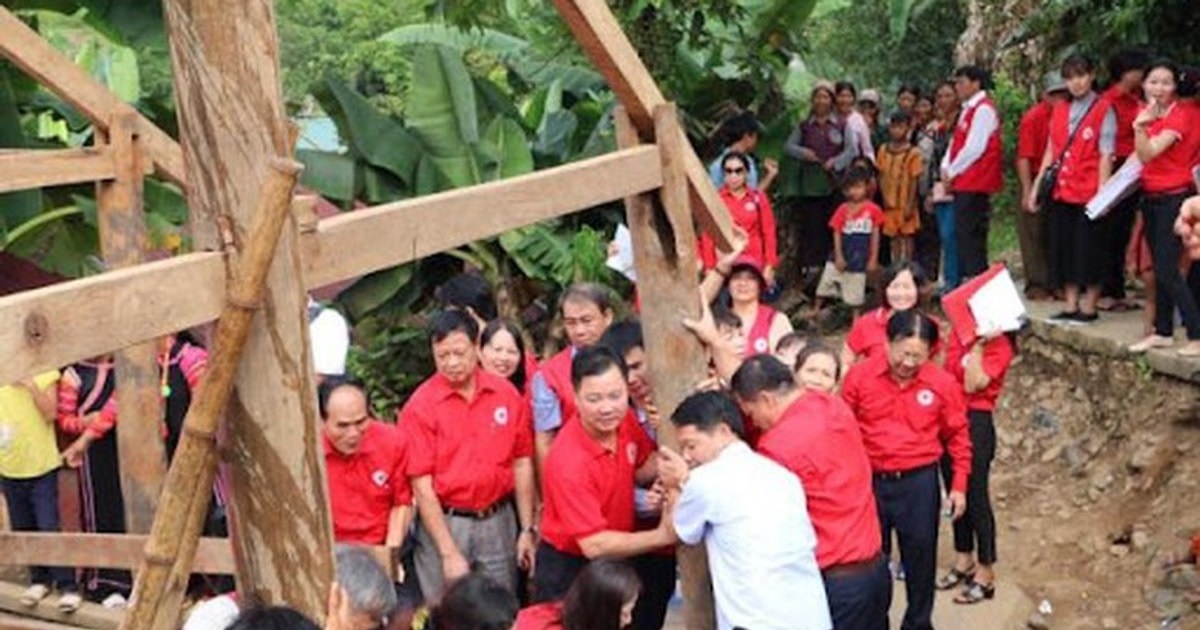 Pháp luật