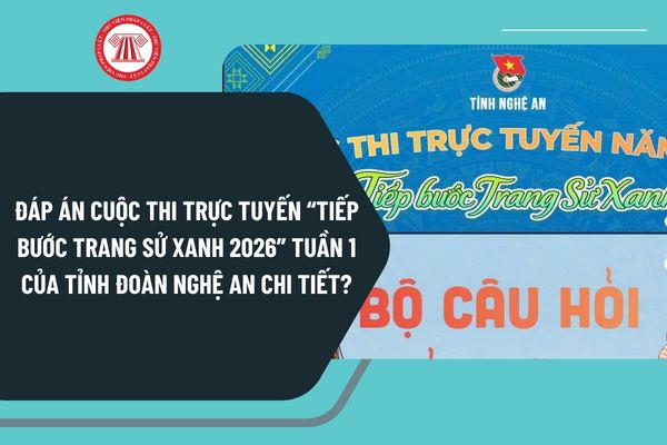 Pháp luật