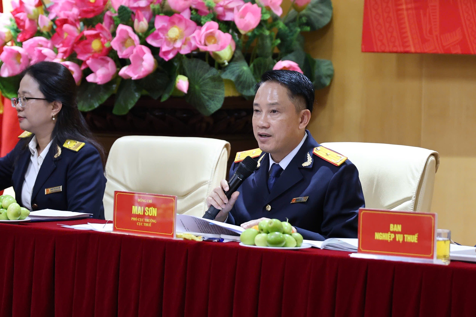 Pháp luật