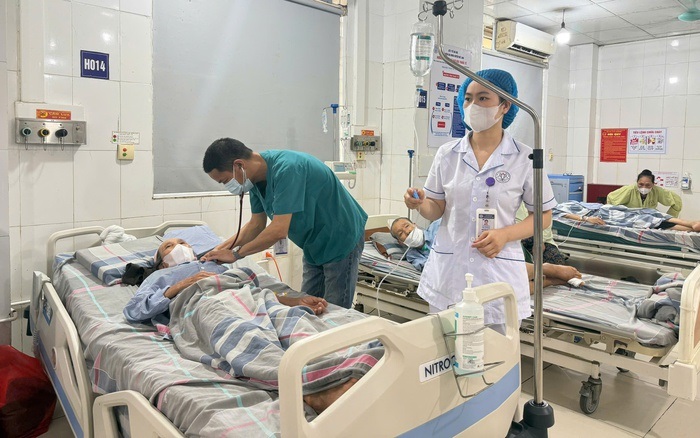 Pháp luật