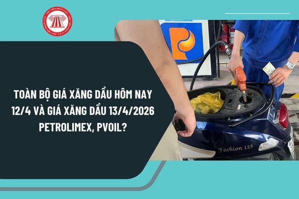 Pháp luật