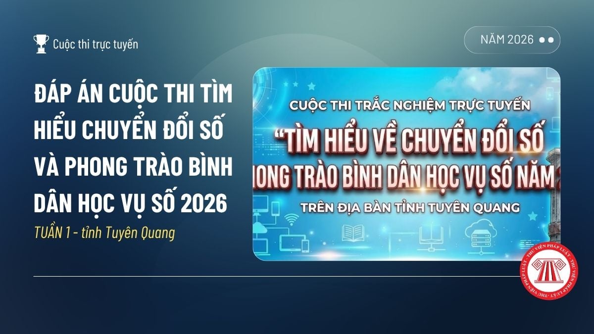 Pháp luật