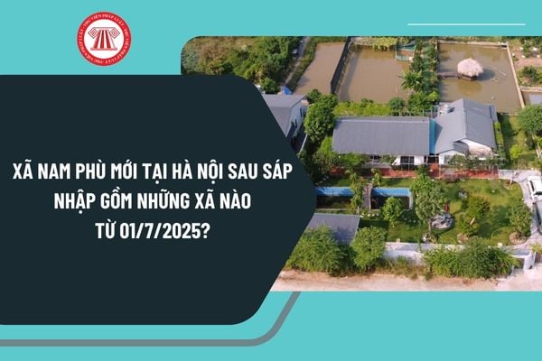 Pháp luật