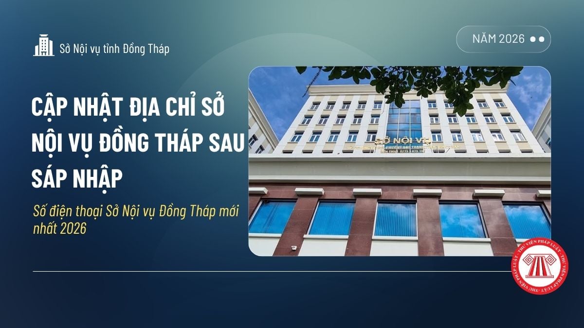Pháp luật