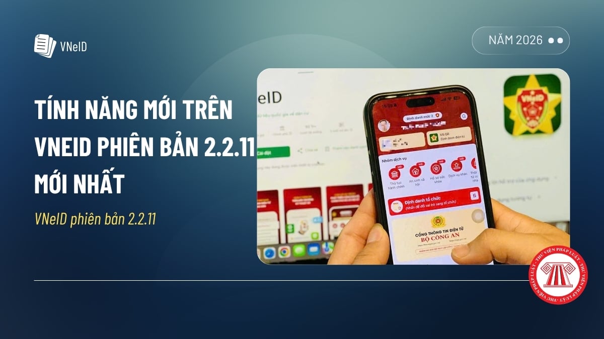 Pháp luật