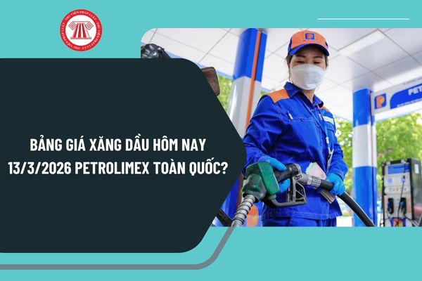 Pháp luật