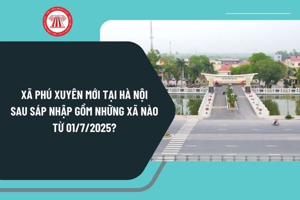 Pháp luật