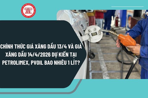 Pháp luật