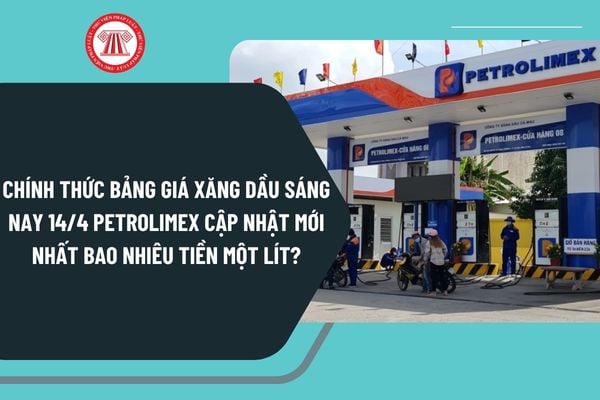 Pháp luật