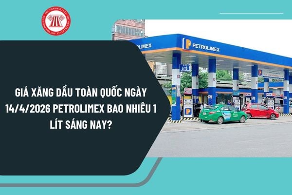 Pháp luật