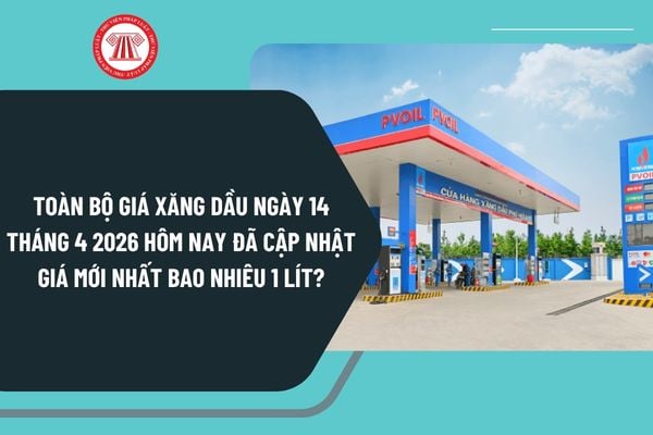 Pháp luật