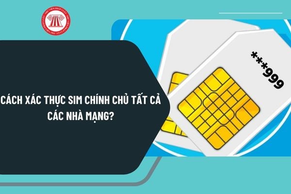 Cách xác thực SIM chính chủ tất cả các nhà mạng? Các bước xác thực thông tin thuê bao các nhà mạng mới nhất?