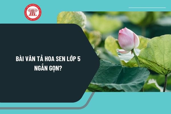 Pháp luật