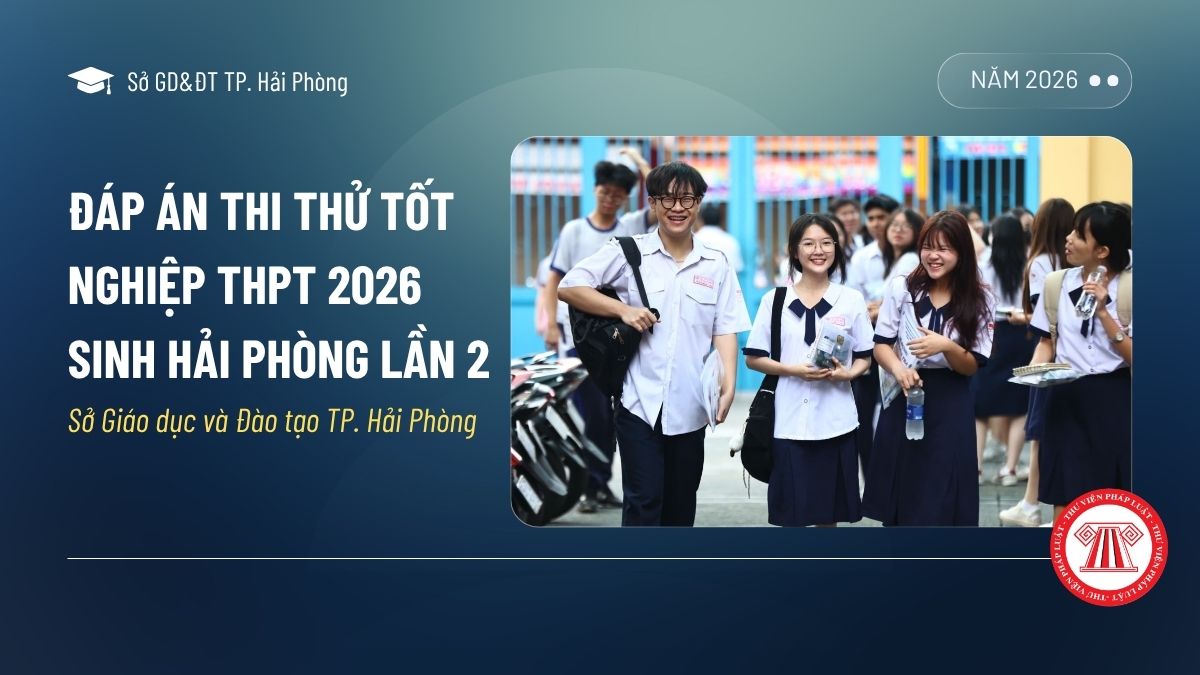 Pháp luật